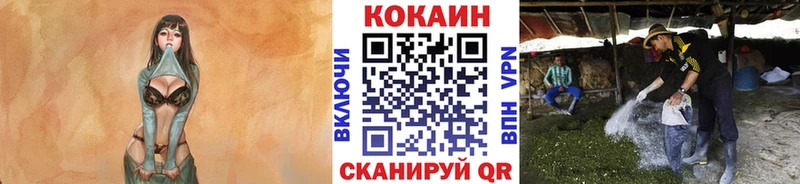 магазин продажи   Карталы  COCAIN Columbia 