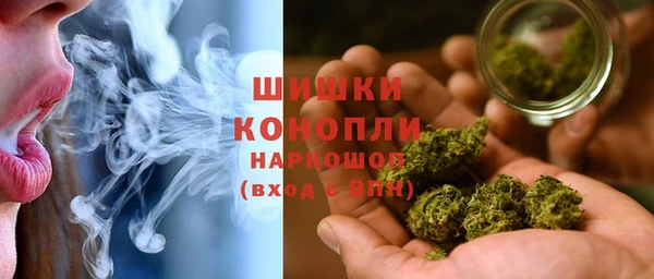 прущие грибы Навашино