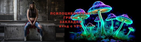 прущие крисы Надым