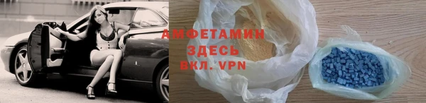индика Анива