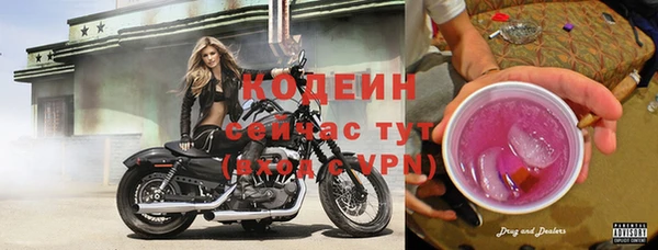 прущие крисы Надым