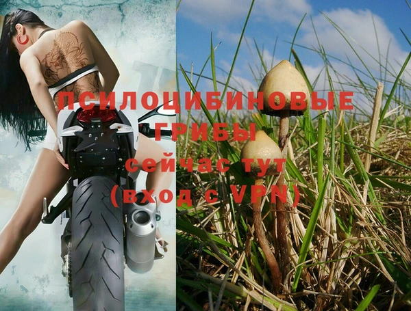 винт Фёдоровский