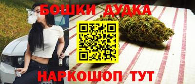 прущие крисы Гатчина