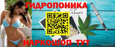 Альфа ПВП Балаково