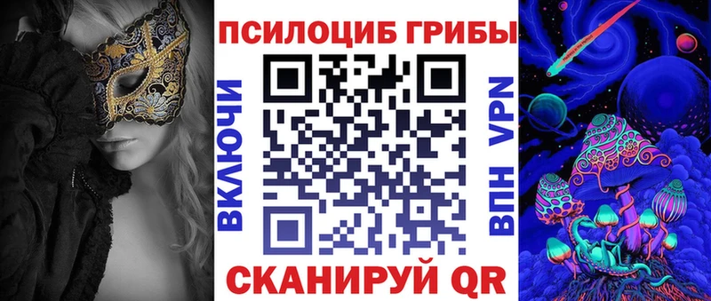 blacksprut ССЫЛКА  Карталы  Галлюциногенные грибы Psilocybe 