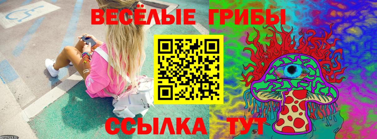 Галлюциногенные грибы прущие грибы  Карталы 