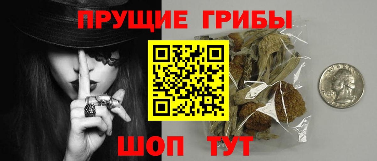 Галлюциногенные грибы MAGIC MUSHROOMS  Вход с VPN  Карталы 